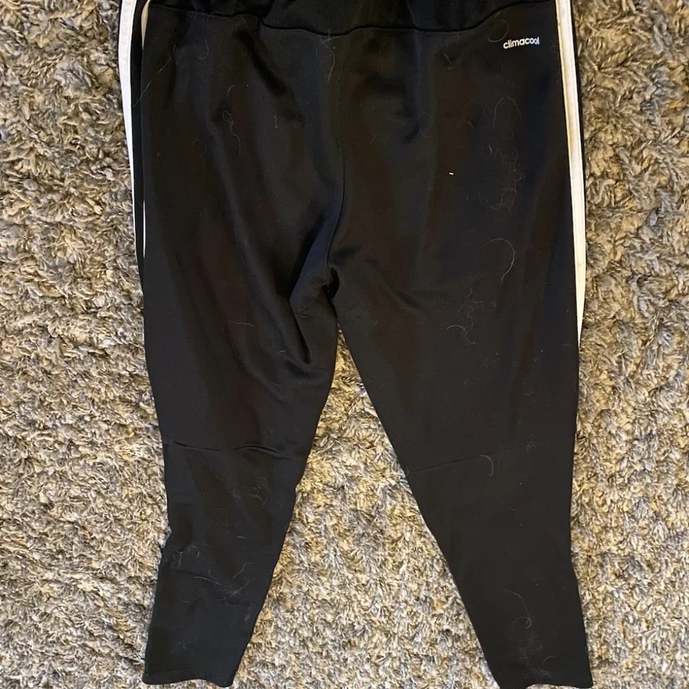 Sweatpants - Picture 2 of 2